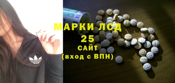 шишки Алексин