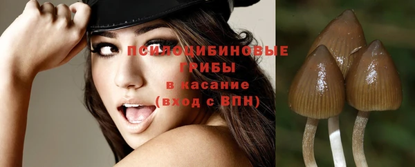 ГАЛЛЮЦИНОГЕННЫЕ ГРИБЫ Осинники