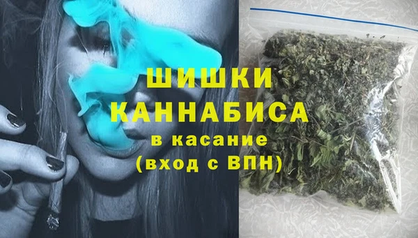 шишки Алексин
