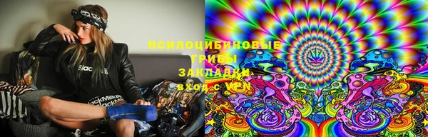 шишки Алексин