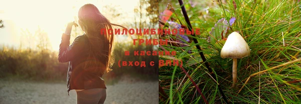 Альфа ПВП Алексеевка