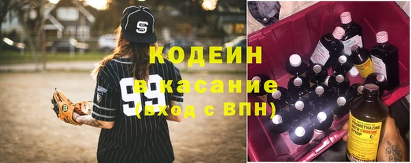 шишки Алексин