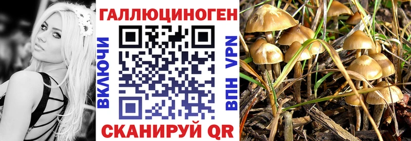 Галлюциногенные грибы MAGIC MUSHROOMS Билибино